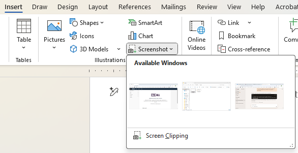 Screenshot menu on ribbon in Word